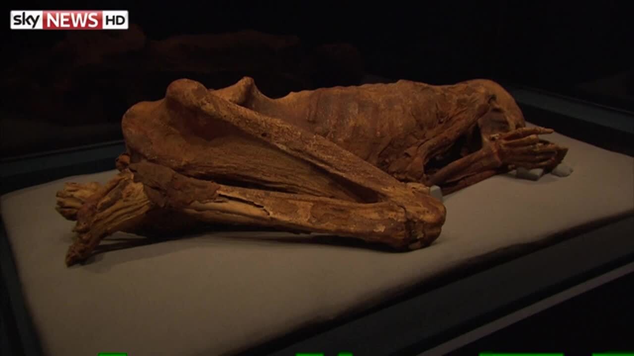 Mysteries Of Mummies Unlocked By CT Scanners | UK News | Sky