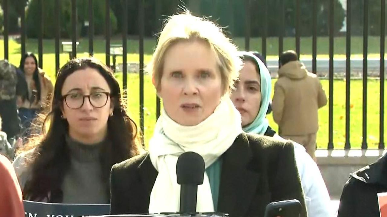 Cynthia Nixon in Gaza hunger strike protest